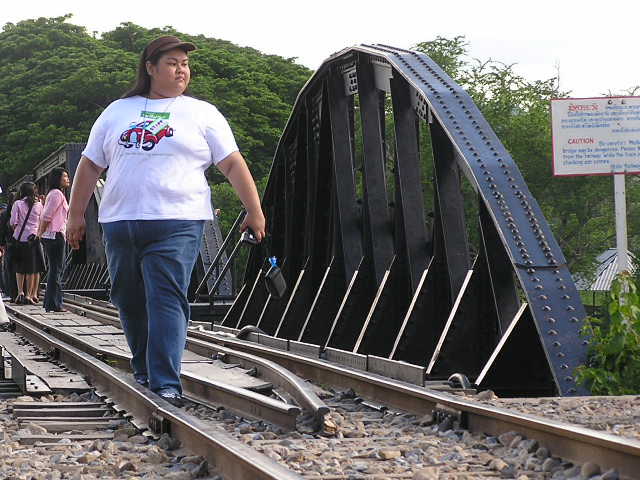 Big Fat Bird on Bridge